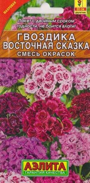 Гвоздика Турецкая Восточная Сказка (Код: 10756)