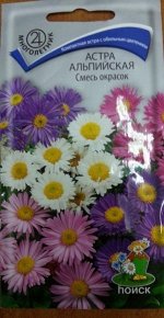 Астра Альпийская смесь окрасок (Код: 66057)