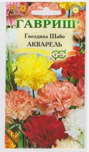 Гвоздика Шабо Акварель (Код: 11313)