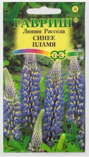 Люпин Рассела Синее пламя (Код: 11622)
