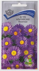 Астра Альпийская Фиолетовая (Код: 72447)