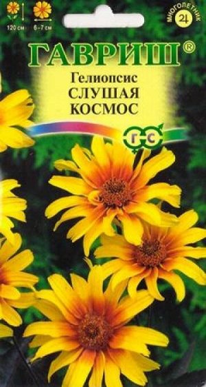 Гелиопсис подсолнечниковый Слушая космос (Код: 86965)