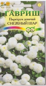 Пиретрум Снежный шар (Код: 9915)