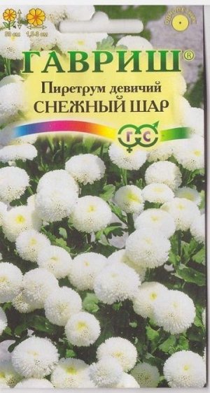 Пиретрум Снежный шар (Код: 9915)