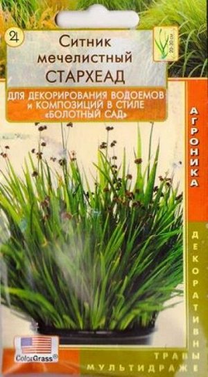 Ситник мечелистный Стархеад (Код: 82434)