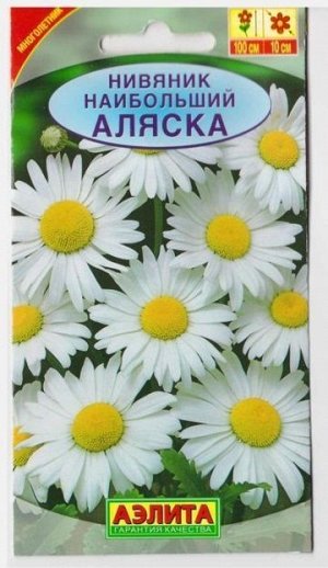 Нивяник Аляска (Код: 6921)