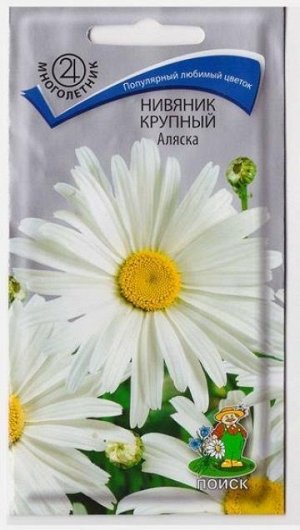 Нивяник Аляска (Код: 65864)