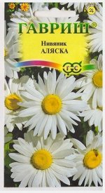 Нивяник Аляска (Код: 16349)