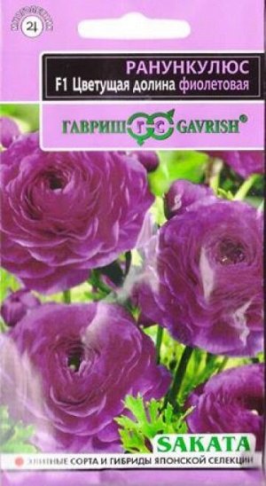 Ранункулюс Цветущая долина Фиолетовая (Код: 81810)