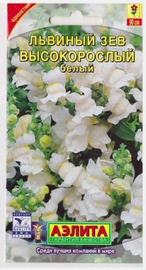 Львиный зев Высокорослый Белый (Код: 70033)