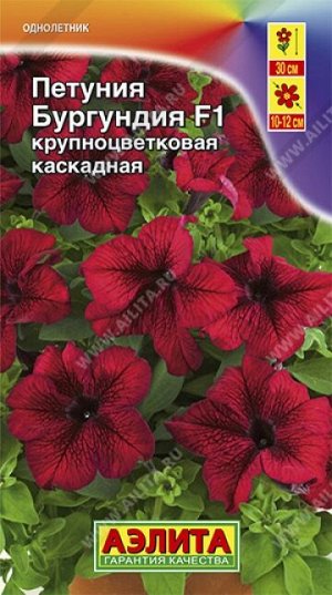 Петуния Бургундия F1 (Код: 16551)