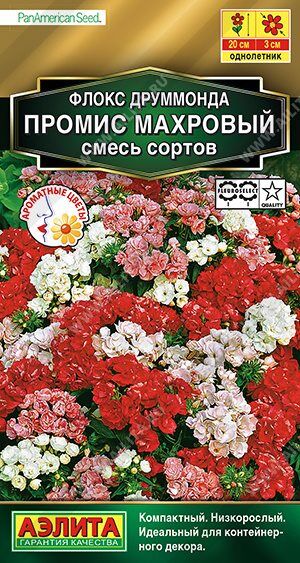 Флокс Промис (смесь) (Код: 6709)