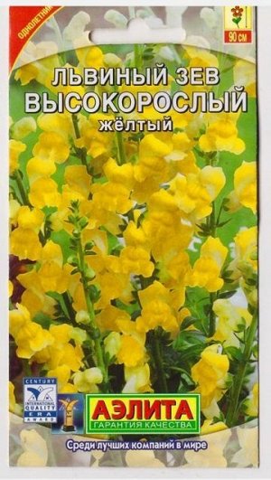 Львиный зев Высокорослый Желтый (Код: 73351)