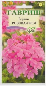 Вербена Розовая Фея (Код: 73053)