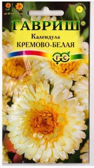 Календула Кремово-белая (Код: 5828)