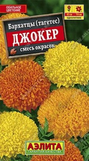 Бархатцы Джокер (Код: 85995)