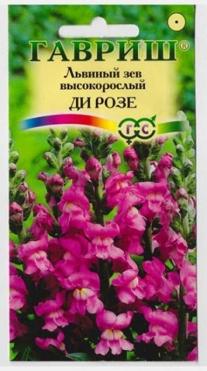 Львиный зев Ди розе (Код: 14939)