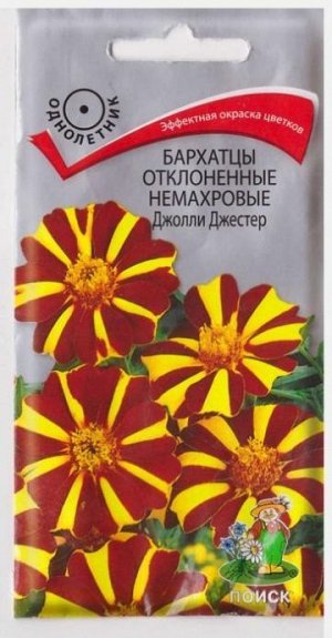 Бархатцы Джолли Джестер (Код: 69527)