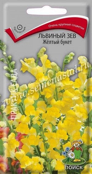 Львиный зев Желтый букет (Код: 66901)