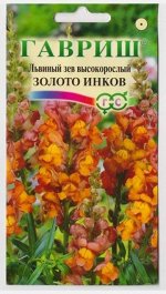 Львиный зев Золото Инков (Код: 2550)