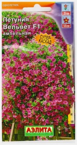 Петуния Вельвет F1 (Код: 4550)