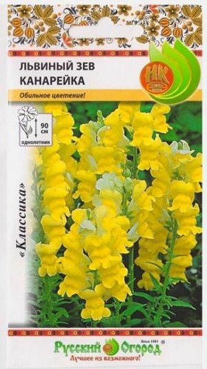Львиный зев Канарейка (Код: 394)