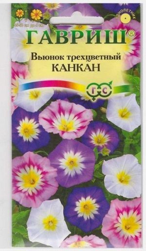 Вьюнок Канкан Трехцветный (Код: 9343)