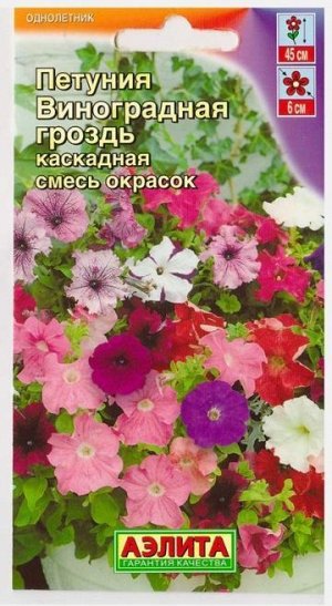 Петуния Виноградная гроздь каскадная (Код: 15164)