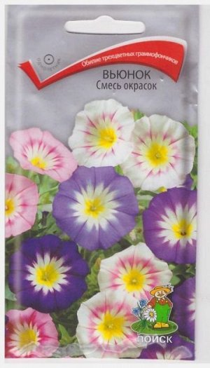 Вьюнок смесь окрасок (Код: 66857)