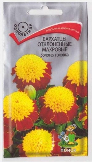 Бархатцы Золотая Головка (Код: 65912)