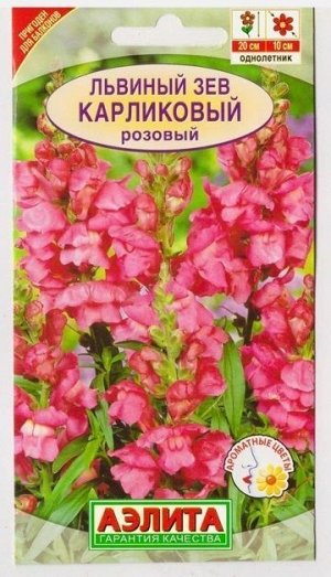 Львиный зев Карликовый Розовый (Код: 2995)