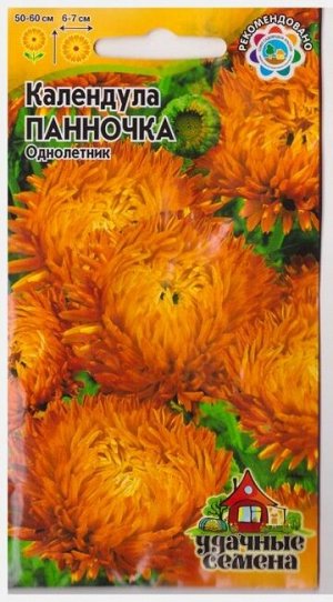 Календула Панночка (Код: 15668)