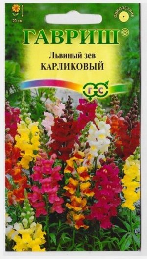 Львиный зев Карликовый Смесь (Код: 159)
