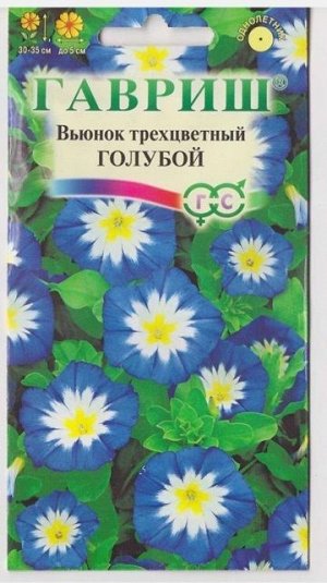 Вьюнок Трехцветный Голубой (Код: 1381)