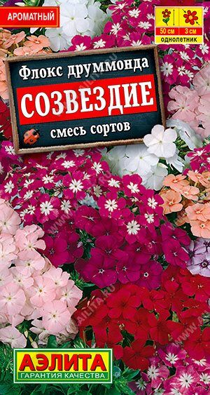 Флокс Созвездие (смесь) (Код: 12428)