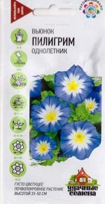 Вьюнок Трехцветный Пилигрим УС (Код: 16767)