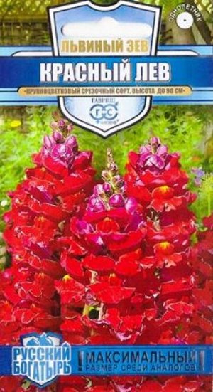 Львиный зев Красный лев (Код: 84688)