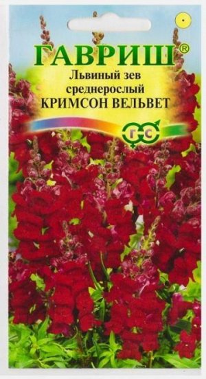 Львиный зев Кримсон Вельвет (Код: 71823)