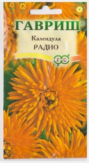 Календула Радио (Код: 9366)