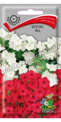 Флокс Фея (Код: 88347)