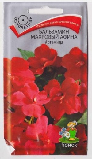 Бальзамин Афина Артемида (Код: 71718)