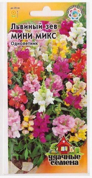 Львиный зев Мини Микс (Код: 8484)
