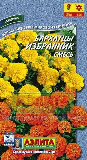 Бархатцы Избранник (Код: 14420)