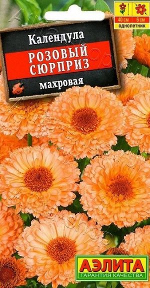 Календула Розовый сюрприз (Код: 8023)