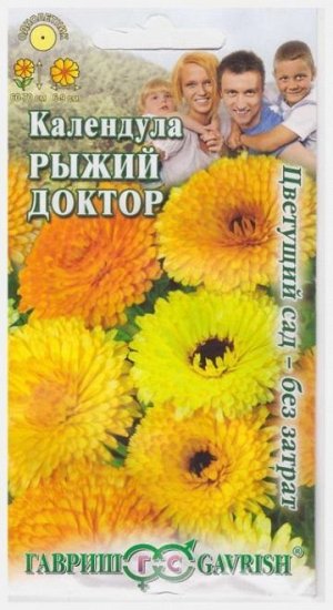 Календула Рыжий Доктор (Код: 15619)