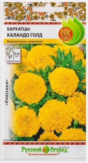 Бархатцы Каландо Голд (Код: 1379)