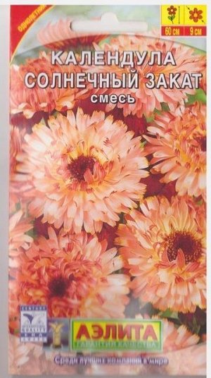 Календула Солнечный закат (Код: 68943)