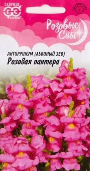 Львиный зев Розовая пантера (Код: 86930)