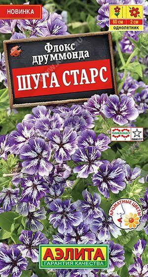 Флокс Шуга старс (Код: 89563)