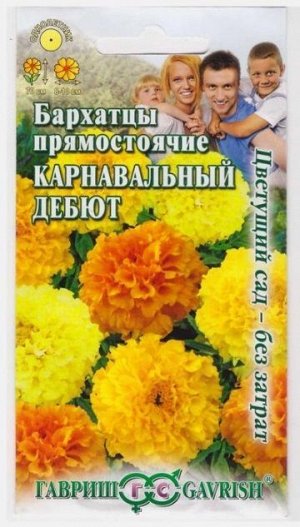 Бархатцы Карнавальный дебют (Код: 15609)